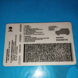 Driver's License Text Edit
