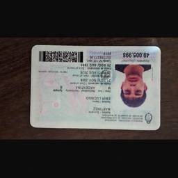 Passport Year Change Edit