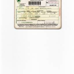 Vehicle Registration Card Cleanup