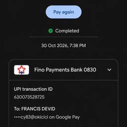 UPI Payment Date Edit
