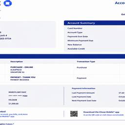 Bank Statement Amount Edit