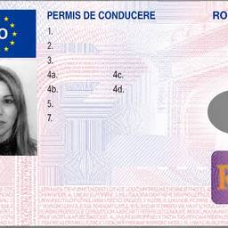 Driving Licence Photo Swap