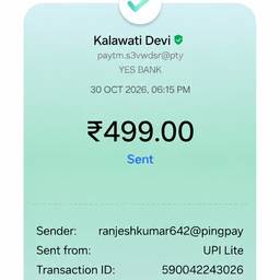 UPI Payment Screenshot Edit