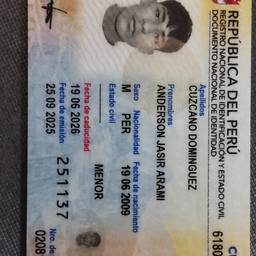 Peruvian ID Date Edit