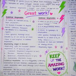 Textbook Page Fun Annotations