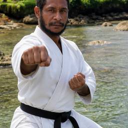 Martial Arts Costume Edit