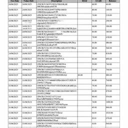 Bank Statement Amount Edit