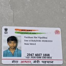 Aadhaar Surname Edit