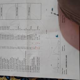 Lab Report Date Change