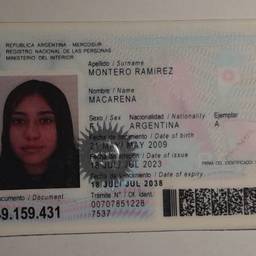 Before - Argentine ID Card Date Edit