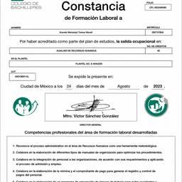 Clean Scanned Certificate