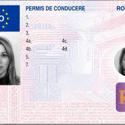 Driving Licence Photo Edit