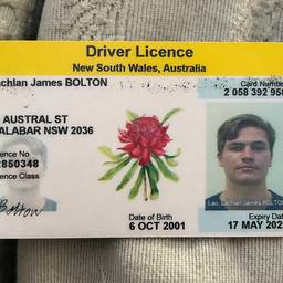After - Driver Licence Date Edit