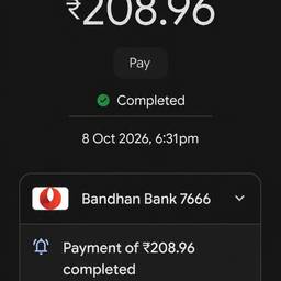 Payment Screenshot Date Edit