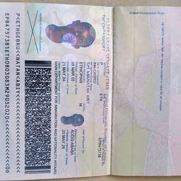 Passport Birth Year Edit