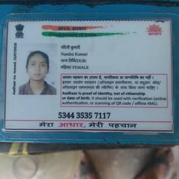 Antes - Actualización de Fecha de Nacimiento en la Tarjeta Aadhaar