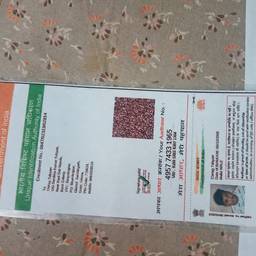 ID Card DOB Edit