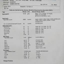 Dengue Report Edit