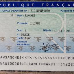 French ID Card Edit