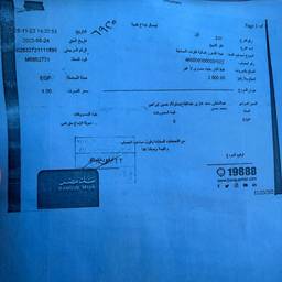Bank Receipt Date Edit