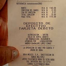 Bank Receipt Editor
