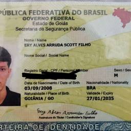 Brazilian ID Name Edit