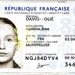 French ID Card Year Edit