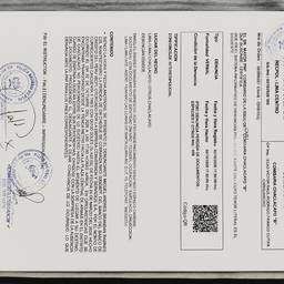 Wrinkle-Free Document Scan