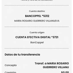 Antes - Edición de recibo de transferencia bancaria
