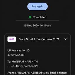 Edit UPI Payment Amount