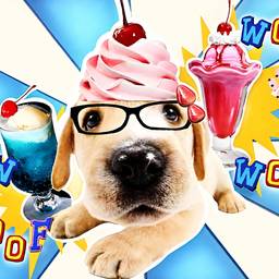 Funny Puppy Pop Art