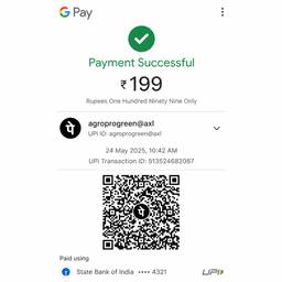 Google Pay Payment Success Screenshot