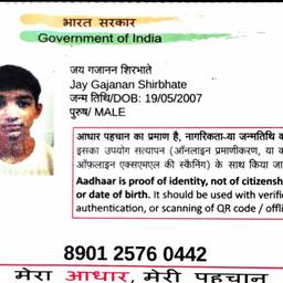 Depois - Edição do ano de nascimento no Aadhaar