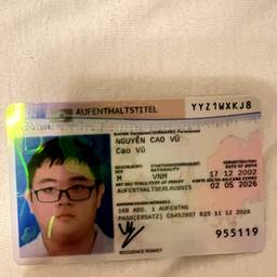 Before - Residence Permit Date Edit