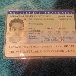 After - French ID Card Date Edit
