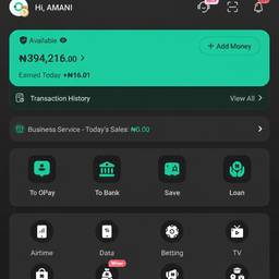Bank Balance Screenshot Edit
