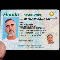 Crisp Florida Driver's License
