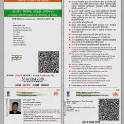 Aadhaar Birth Year Edit