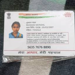 Antes - Editar tarjeta Aadhaar