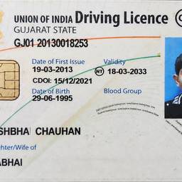 Driving Licence Detail Edit
