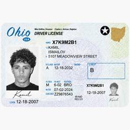 Ohio License Signature Edit