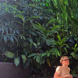 Tropical Pool Abs Edit