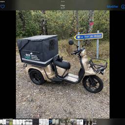 Champagne Scooter Recolor