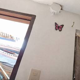Butterfly Wall Decor Edit