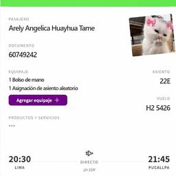 Airline Boarding Pass Edit
