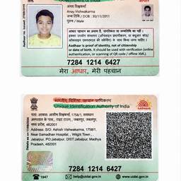 Aadhaar Card DOB Editor