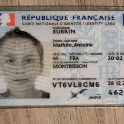 Before - French ID Card DOB Edit