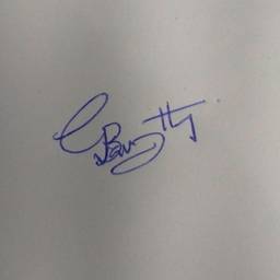 Before - Signature Resize Landscape