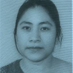 ID Photo Face Swap