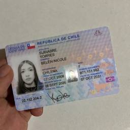 Chilean ID Card Edit